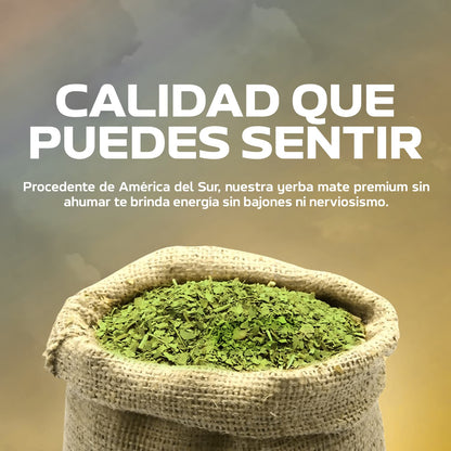 YerbaMagic Cápsulas - Suplementia®